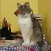 Отзыв от Лада Громова